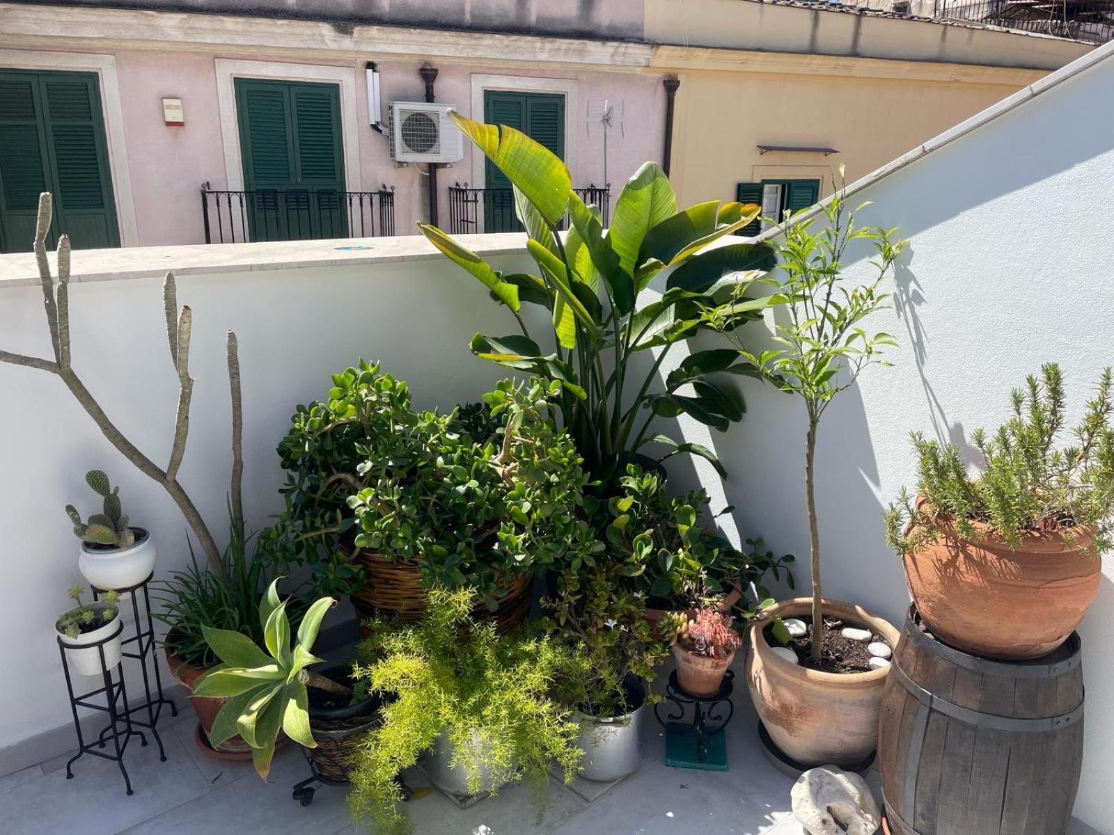 Terrazza Alla Cala 巴勒莫 外观 照片